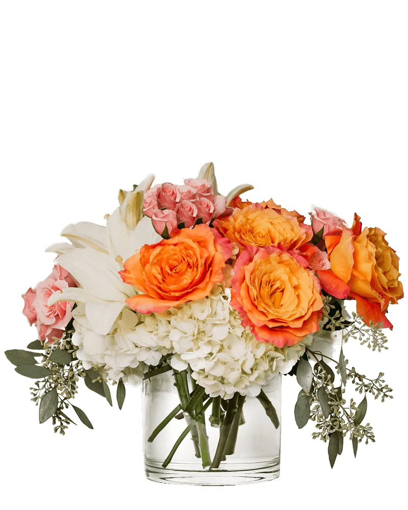 Timeless Blossoms - San Diego Flower Delivery | 9135 Judicial Dr C, San Diego, CA 92122, United States | Phone: (858) 622-1174