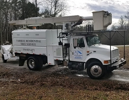Pennys Tree Service | 3980 Premier Dr, High Point, NC 27265, USA | Phone: (336) 829-4471