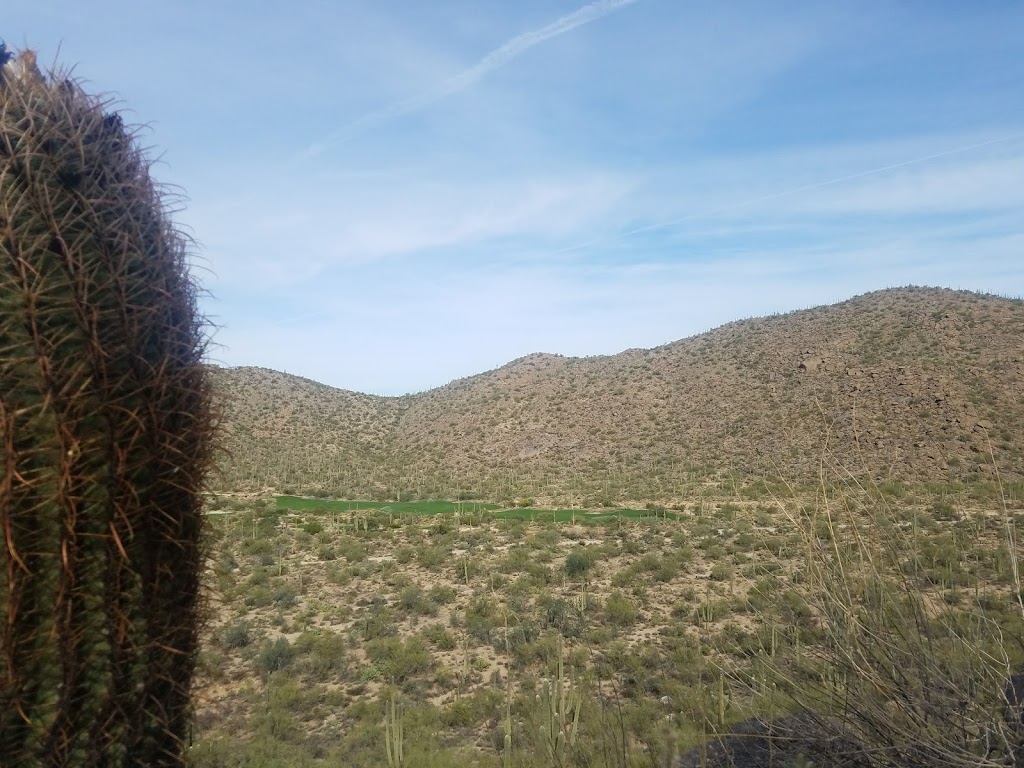 Upper Javelina Trailhead | Marana, AZ 85658, USA | Phone: (520) 572-3000