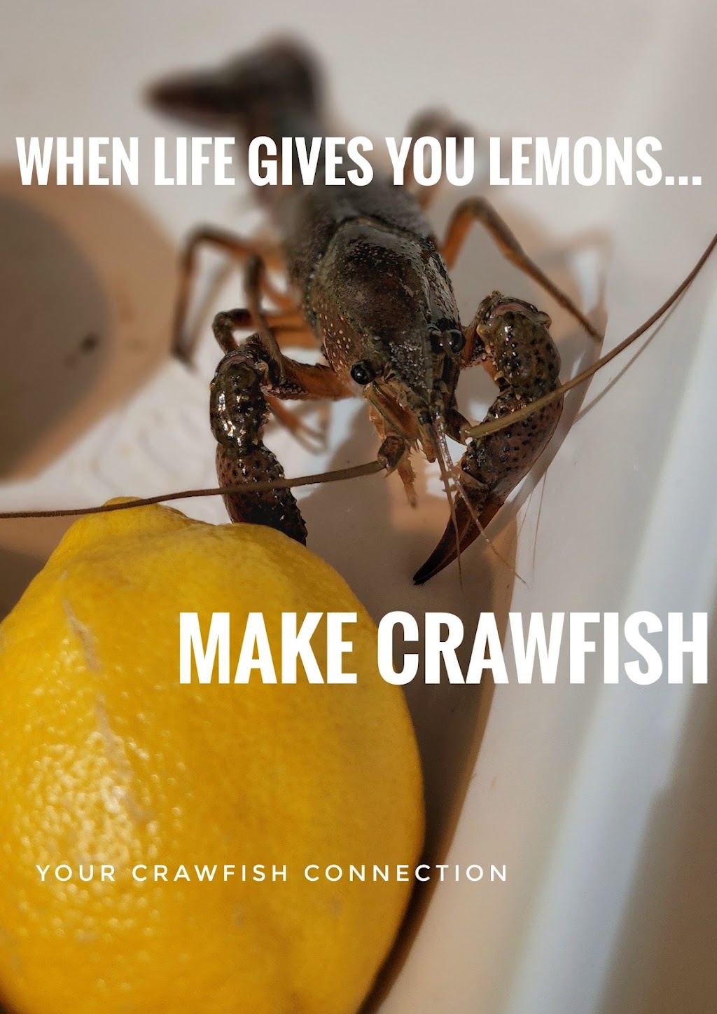 YOUR Crawfish Connection | 4208 Augusta Ct, Flower Mound, TX 75028, USA | Phone: (214) 587-6700