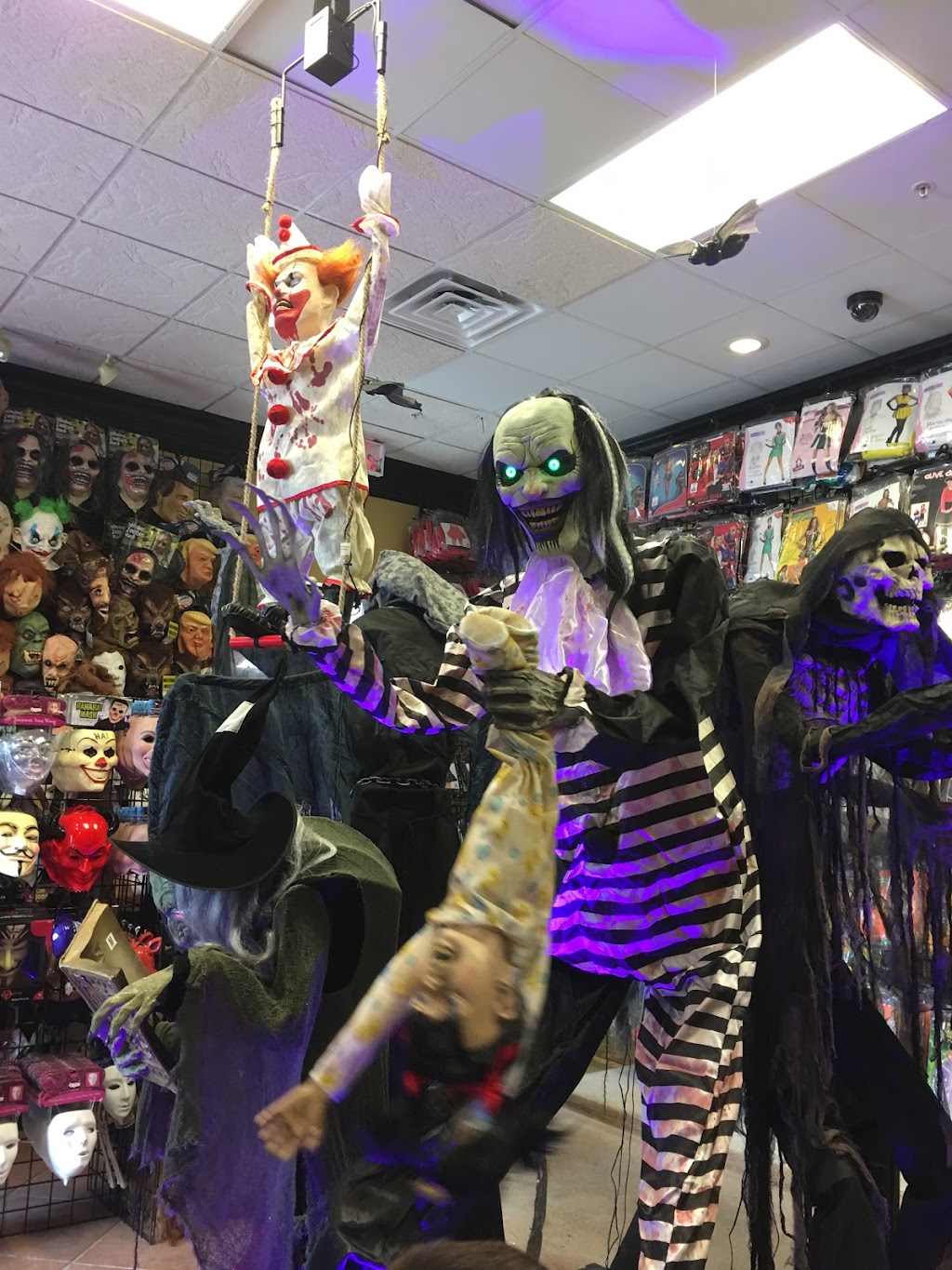 Harygul Halloween Planet | 4554 Virginia Beach Blvd, Virginia Beach, VA 23462, USA | Phone: (757) 554-0800