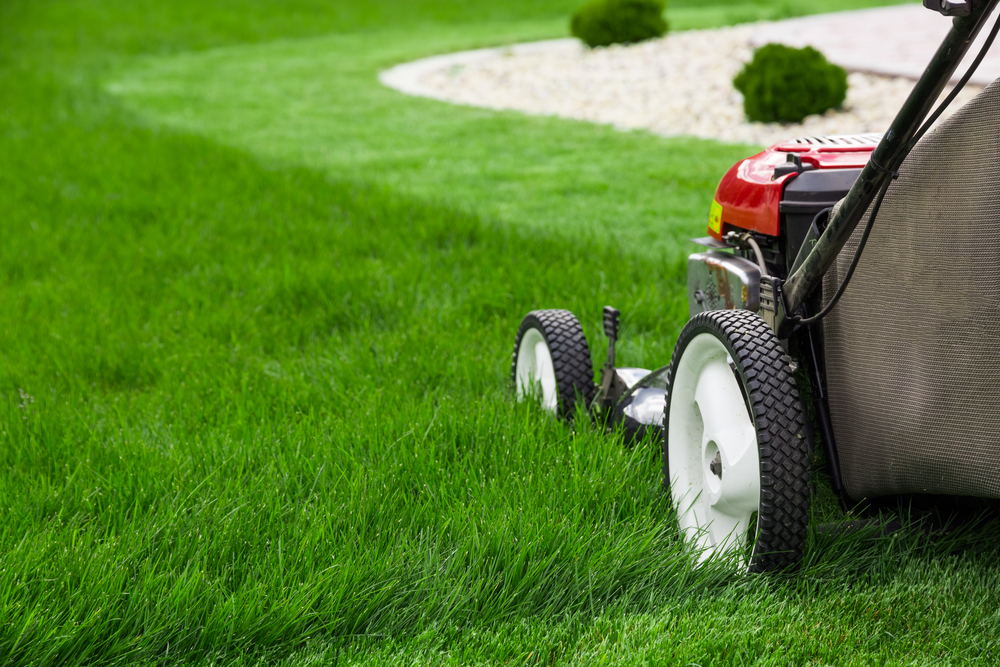 BRIELLES LANDSCAPING & LAWN MOWING SERVICES | 4 Barclay Ln, Stafford, VA 22554, USA | Phone: (703) 884-6514