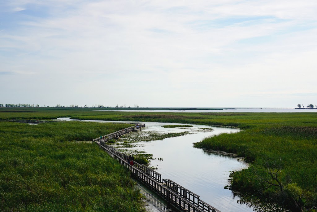 Point Pelee National Park Visitor Centre | Point Pelee Dr, Leamington, ON N0P 2P0, Canada | Phone: (519) 322-2365