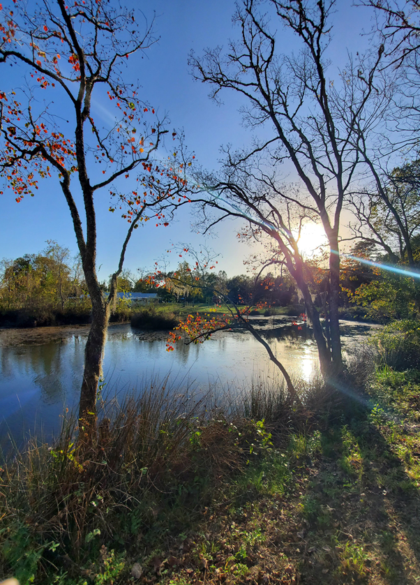 River Rock Resort | 4876 FM1008, Dayton, TX 77535, USA | Phone: (281) 536-6713