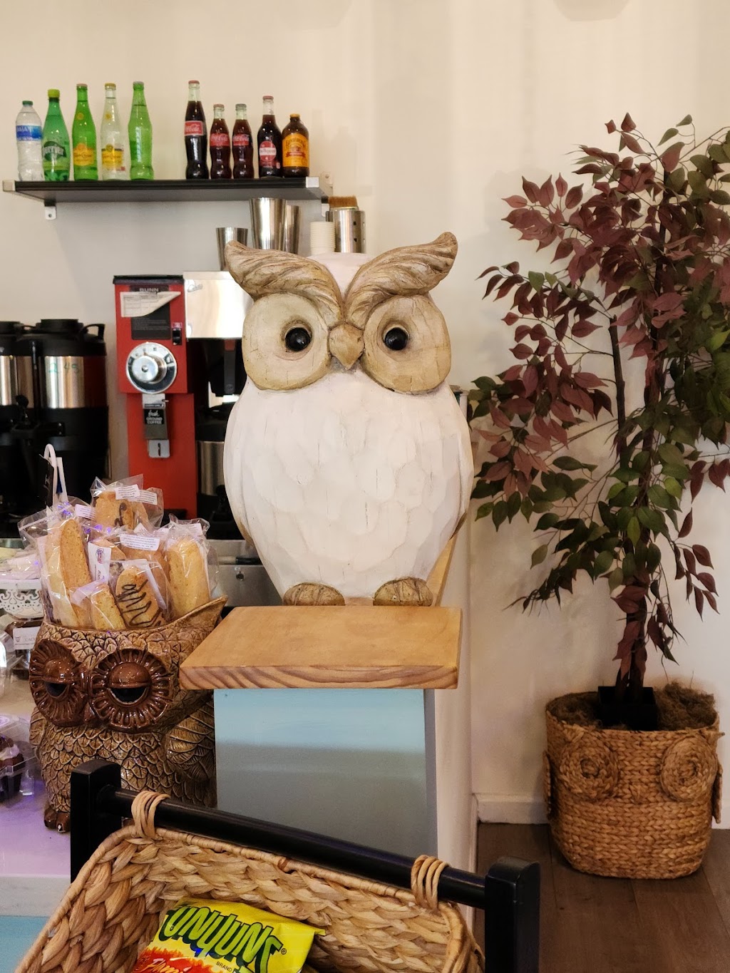 Java Owl Coffee House | 1354 E NASA Pkwy Unit J, Nassau Bay, TX 77058, USA | Phone: (281) 957-9814