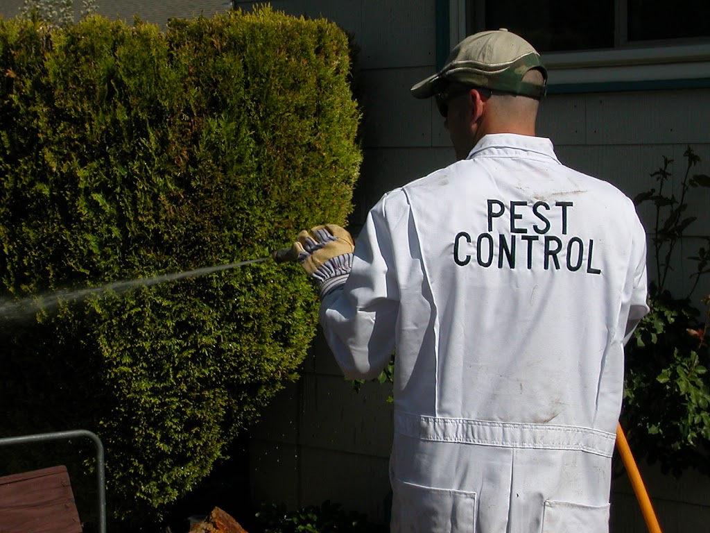 CAD Pest Control | 6301 US-50, Carson City, NV 89701, USA | Phone: (775) 881-2200