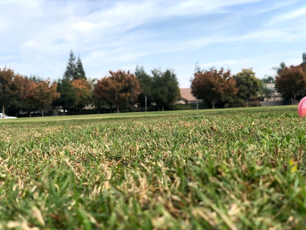 Todd Beamer Park | 1890 E Plymouth Way, Fresno, CA 93720, USA | Phone: (559) 621-7529