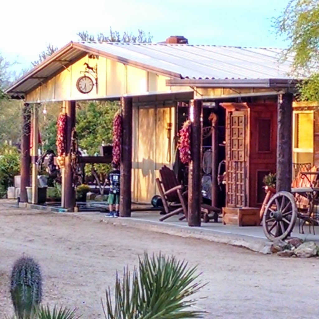 Twisted Tree Farm, Inc, Training Stables | 29001 N Hayden Rd, Scottsdale, AZ 85266, USA | Phone: (480) 860-8215