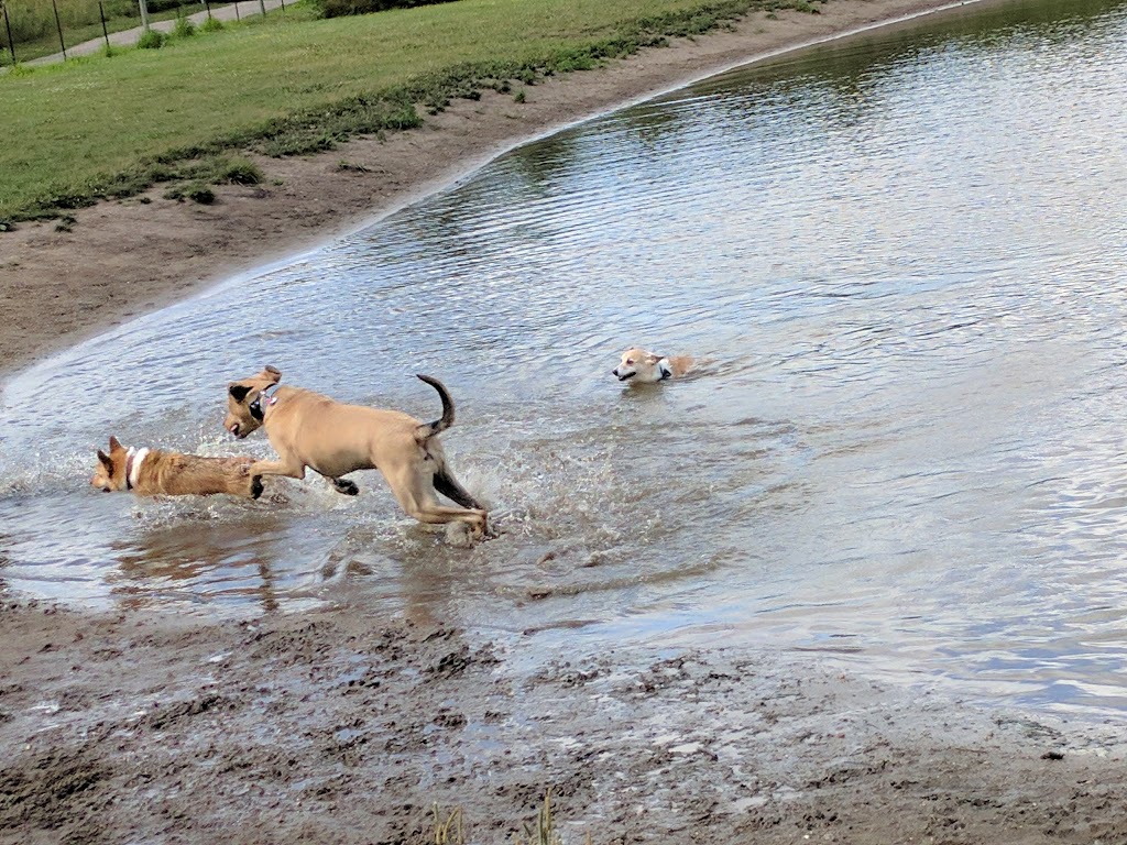 Cleary Lake Dog Park | 19011 Highview Ct, Prior Lake, MN 55372, USA | Phone: (763) 559-9000