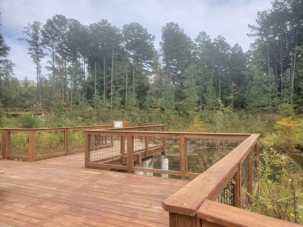 Line Creek Nature Area | Peachtree City, GA 30269, USA | Phone: (770) 486-7774