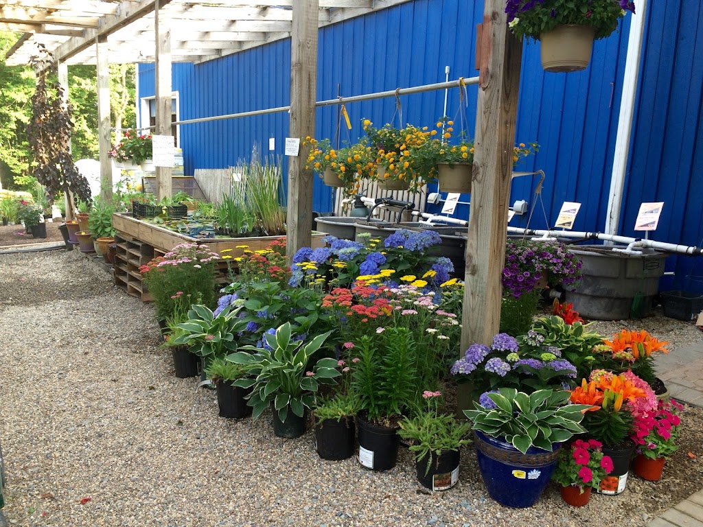 Mendham Garden Center | 11 W Main St, Mendham Borough, NJ 07945, USA | Phone: (973) 543-4178