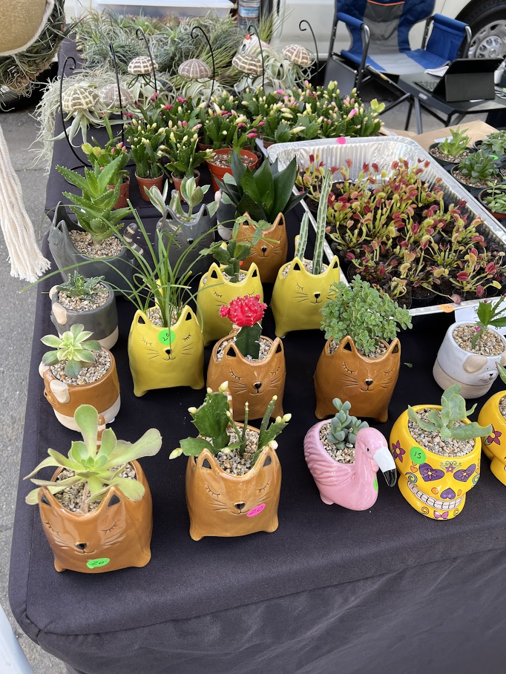 Simply Treasures & More | Copper Way, Vacaville, CA 95687, USA | Phone: (707) 694-6779