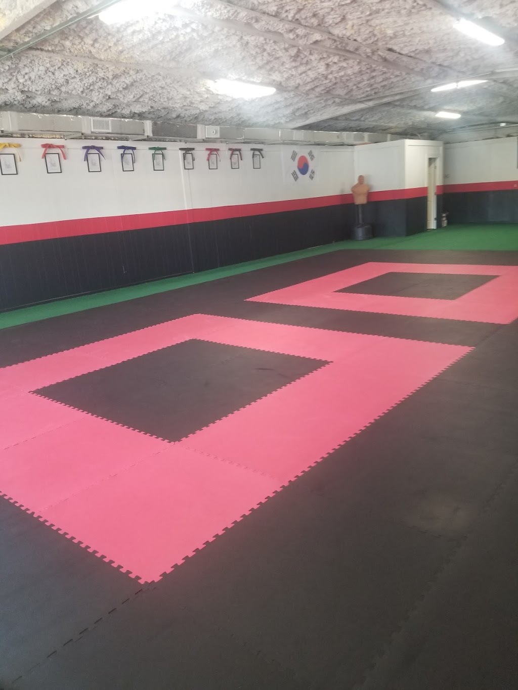 Assertive Defense | 19014 Farm to Market Rd 1488, Magnolia, TX 77355, USA | Phone: (832) 340-5511