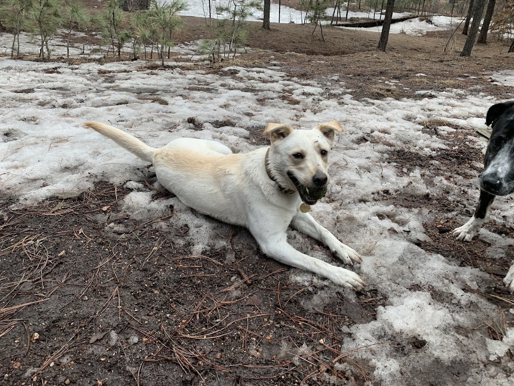 Fox Run Dog Park | Colorado Springs, CO 80921, USA | Phone: (719) 520-7529