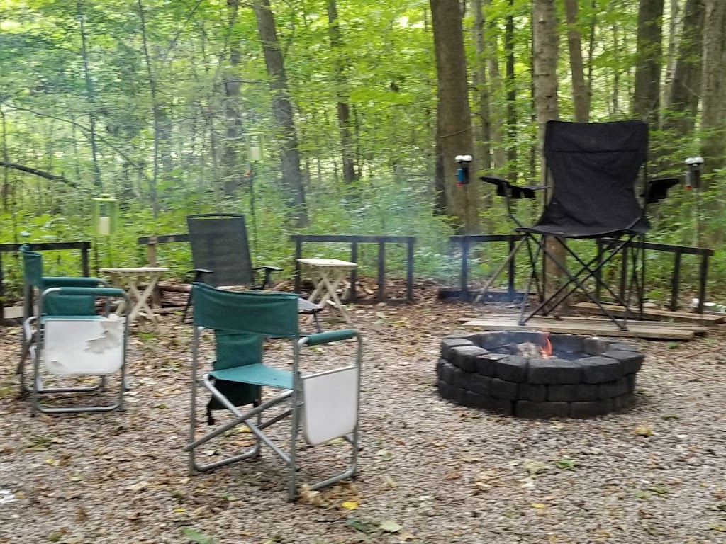 Forest Ridge Family Campground | 5000 Elder Rd, Larwill, IN 46764, USA | Phone: (260) 327-3551