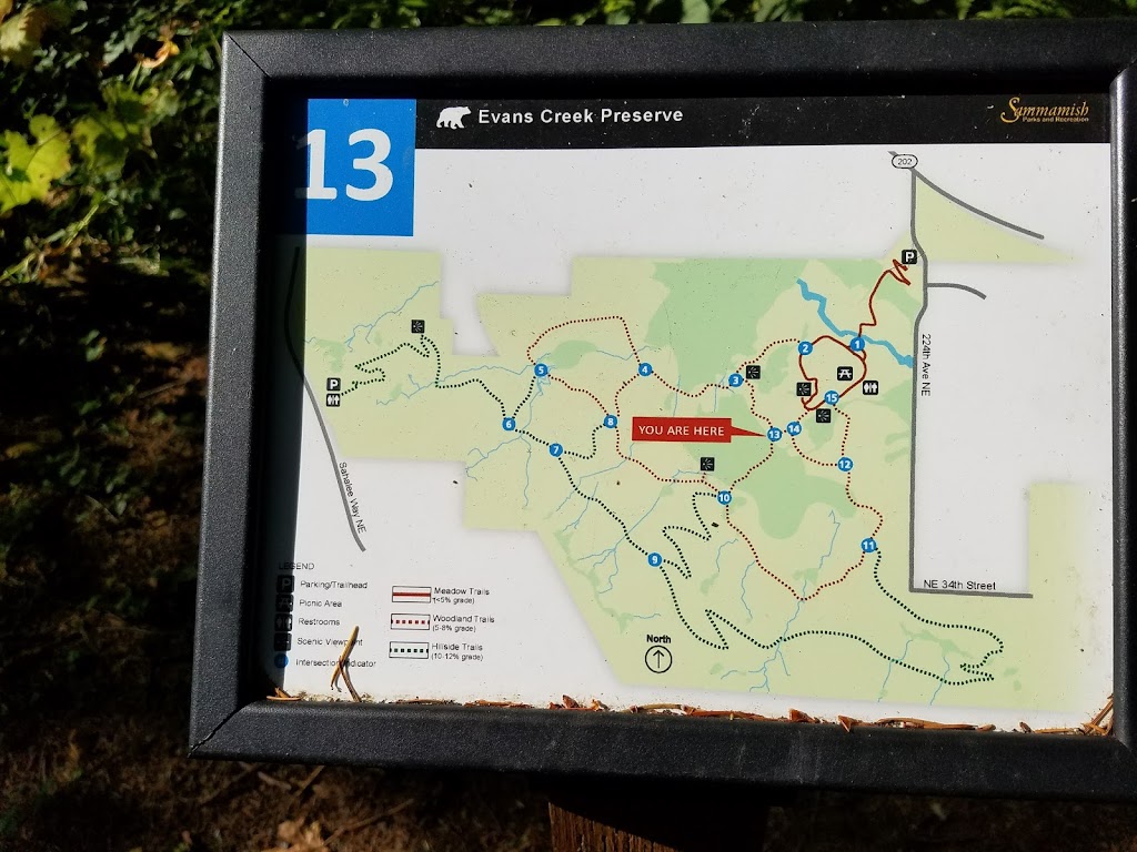 Evans Creek Preserve | 4001 224th Ave NE, Redmond, WA 98053, USA | Phone: (425) 295-0553