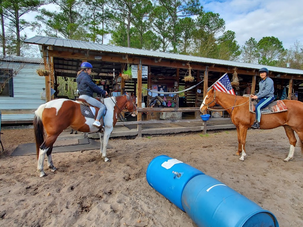 Highland Horse Farm | 5118 Cattail St, Middleburg, FL 32068, USA | Phone: (651) 353-8104