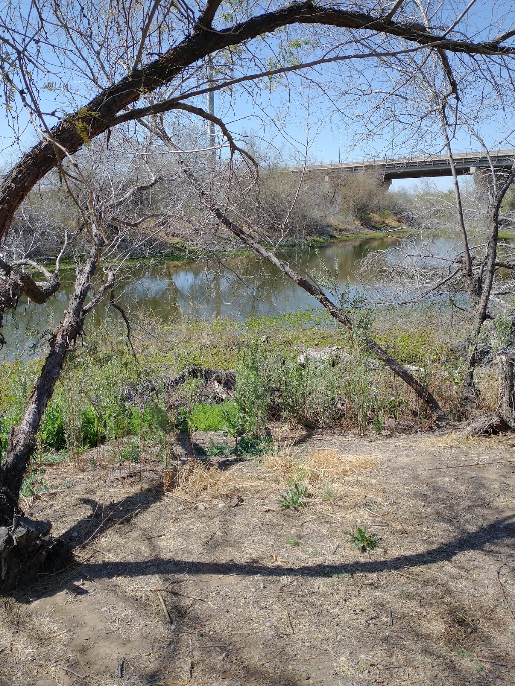 Rio Salado Habitat Restoration Area | 2439 S Central Ave, Phoenix, AZ 85004, USA | Phone: (602) 262-6863