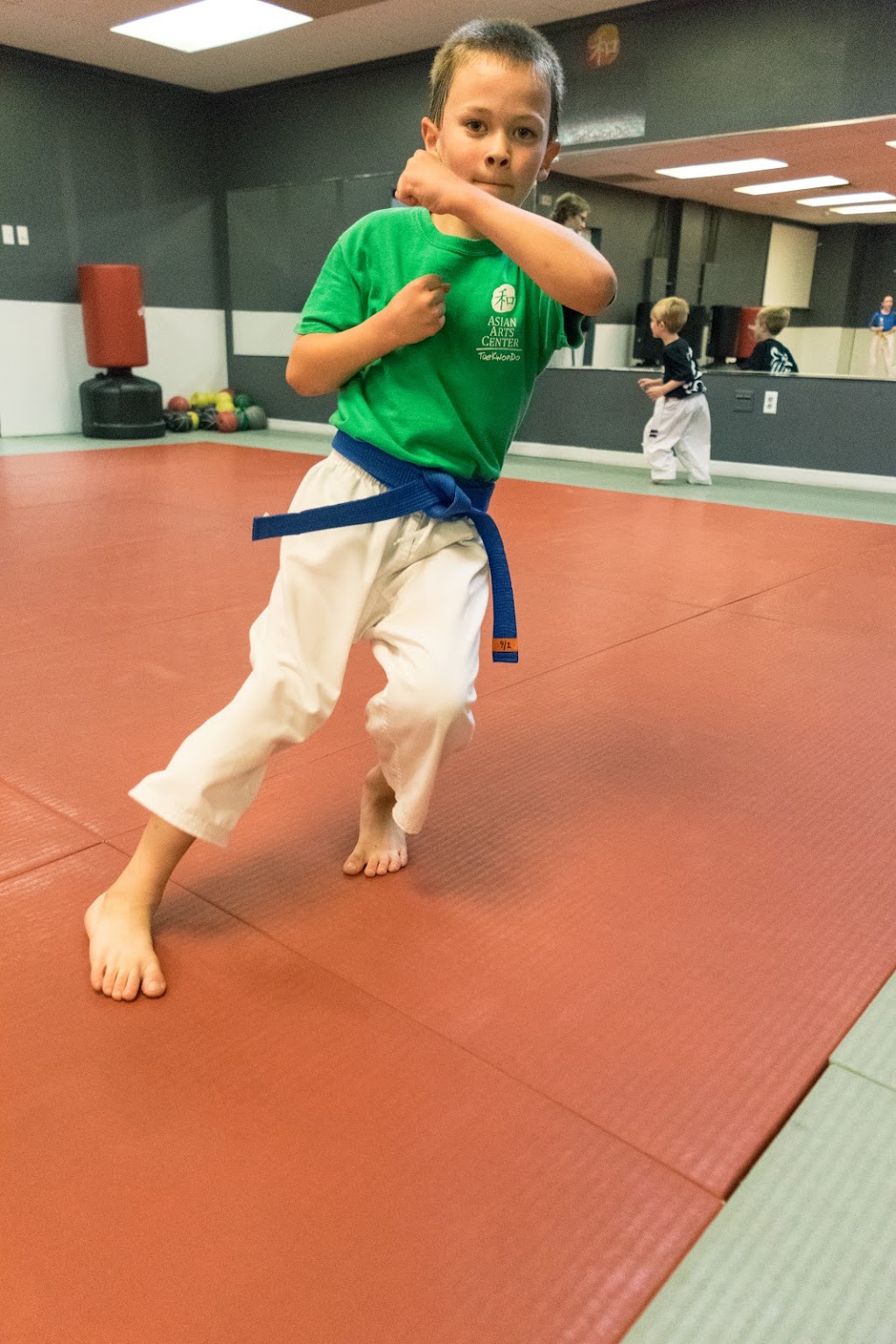 Asian Arts Center Taekwondo School | 3110 Woodman Dr, Kettering, OH 45420, USA | Phone: (937) 395-0333