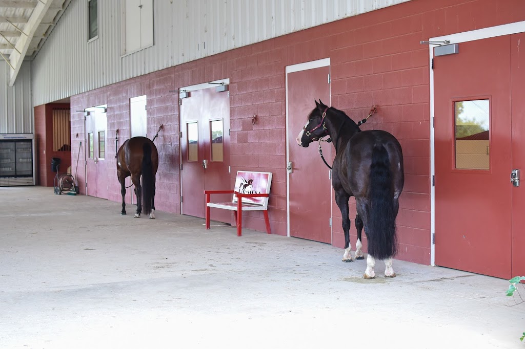 Equine Sports Medicine, LLC | 8386 Farm to Market 455 E, Pilot Point, TX 76258, USA | Phone: (940) 465-4466