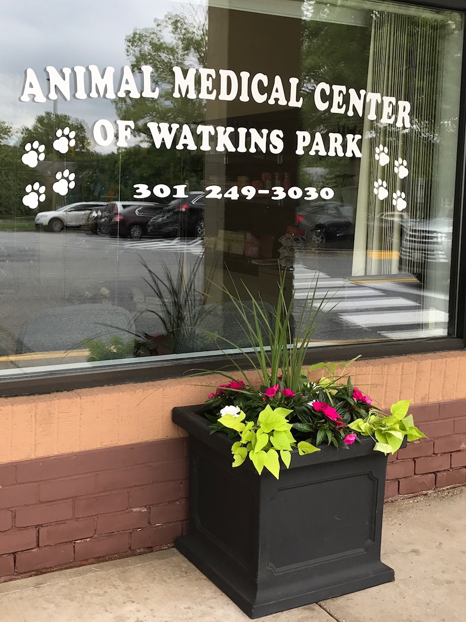 Animal Medical Center of Watkins Park | 60 Watkins Park Dr, Upper Marlboro, MD 20774, USA | Phone: (301) 249-3030