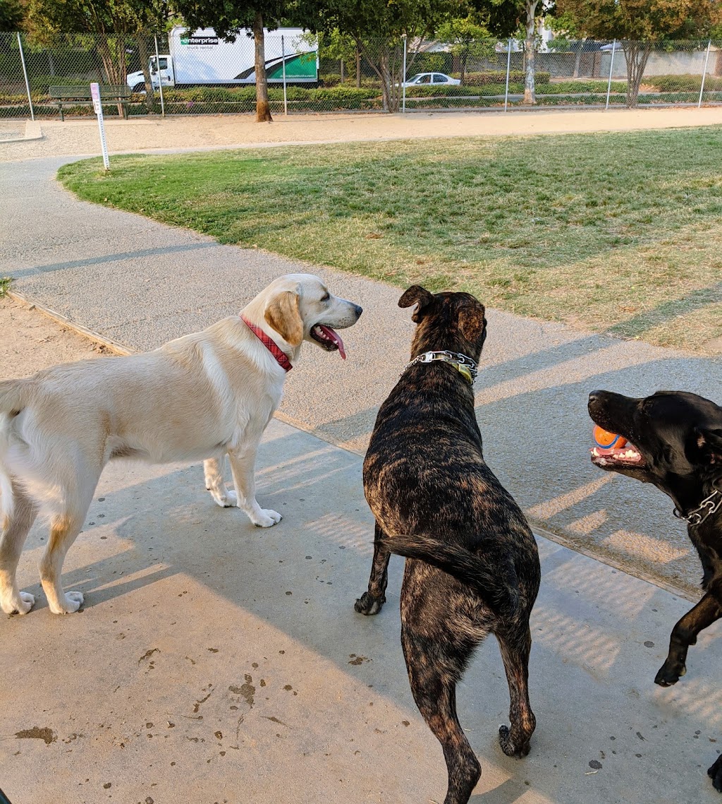 Bear Dog Park | 1565 Pleasant Grove Blvd, Roseville, CA 95747, USA | Phone: (916) 774-5200