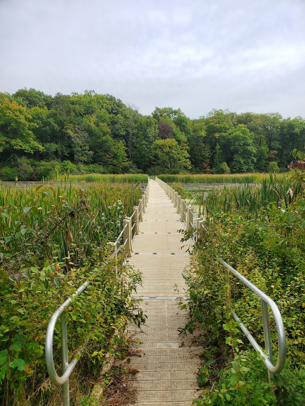 Ann Lee Pond Nature and Historic Preserve | Heritage Ln, Albany, NY 12205, USA | Phone: (518) 765-2055