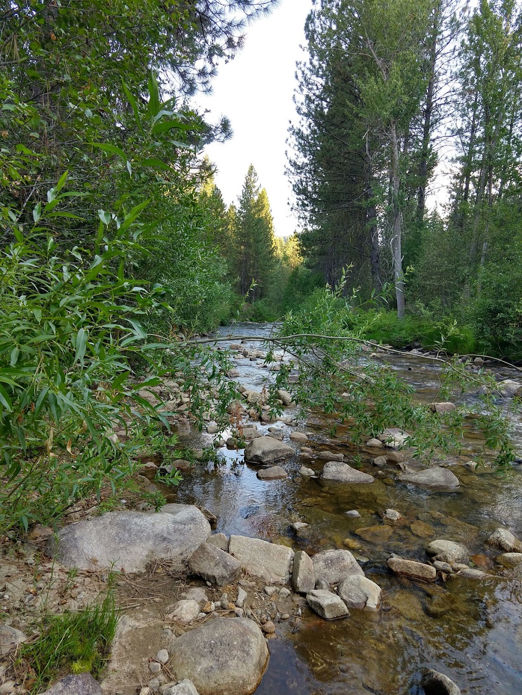 Creekside Campground Idaho City | 3193 ID-21, Boise, ID 83716, USA | Phone: (208) 392-4325