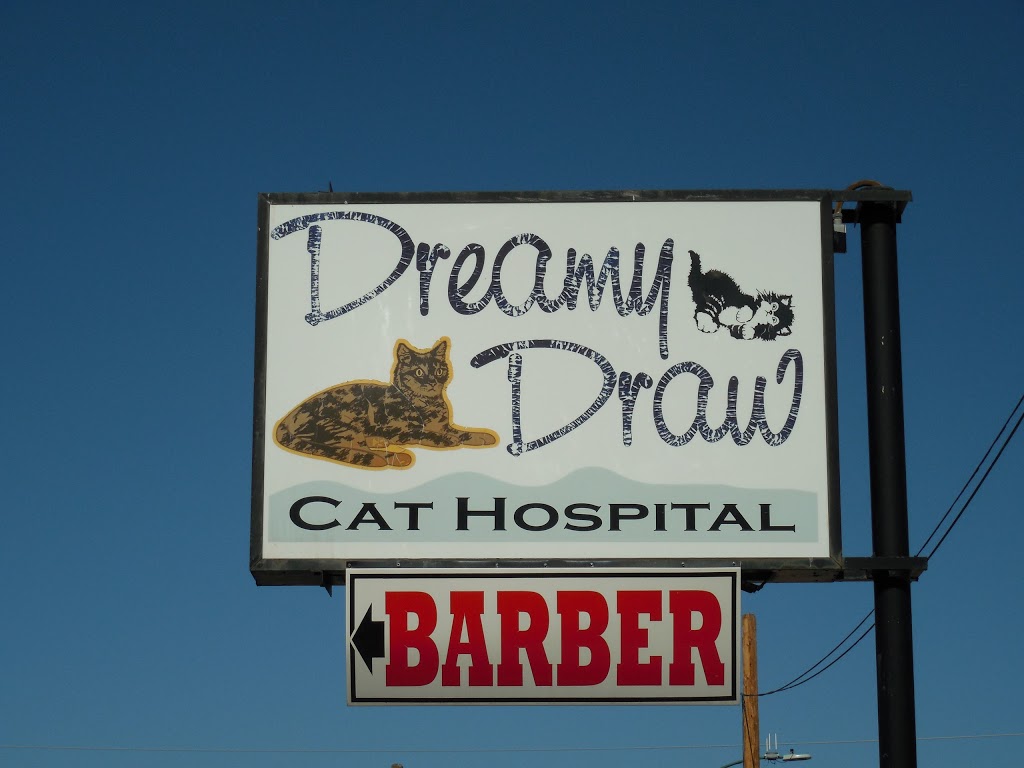 Dreamy Draw Cat Hospital | 1617 E Bethany Home Rd, Phoenix, AZ 85016, USA | Phone: (602) 265-4101