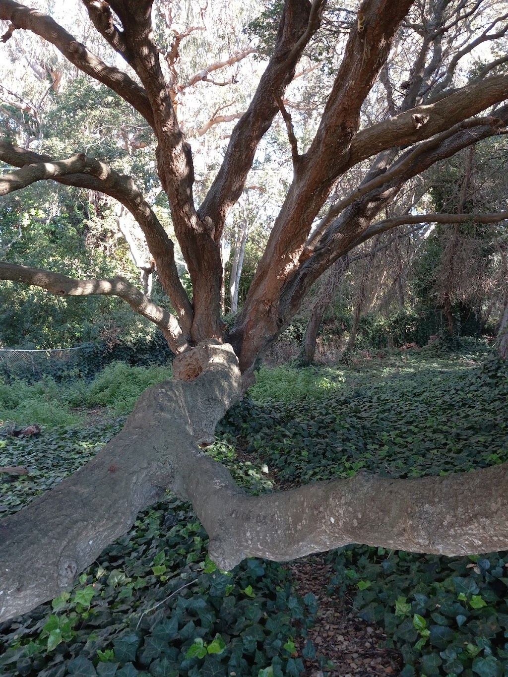 Twin Lakes County Park | 520 7th Ave, Santa Cruz, CA 95062, USA | Phone: (831) 454-7901