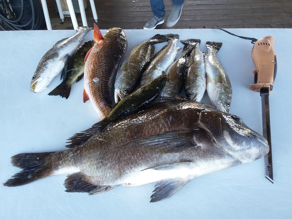 Rojas Fishing Charters | 2453 Privateer Blvd, Barataria, LA 70036, USA | Phone: (504) 233-1005