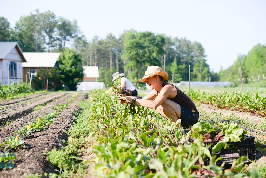 Broadfork Farm | 9501 Deer Range Rd, Moseley, VA 23120, USA | Phone: (804) 337-6540