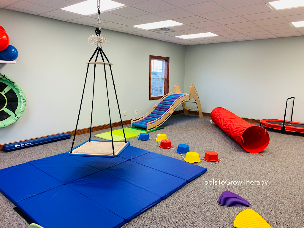 Tools to Grow Occupational, Physical and Speech Therapy | 4535 Southwestern Blvd # 808, Hamburg, NY 14075 | Phone: (716) 725-7163
