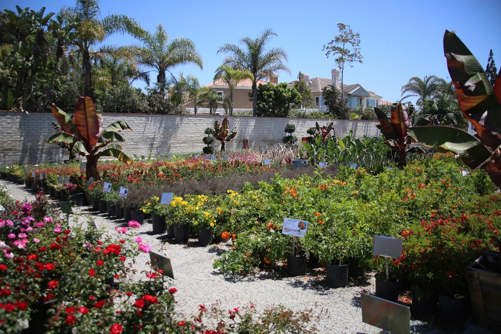 Moon Valley Nurseries | 21251 Bushard St, Huntington Beach, CA 92646, USA | Phone: (714) 908-4821