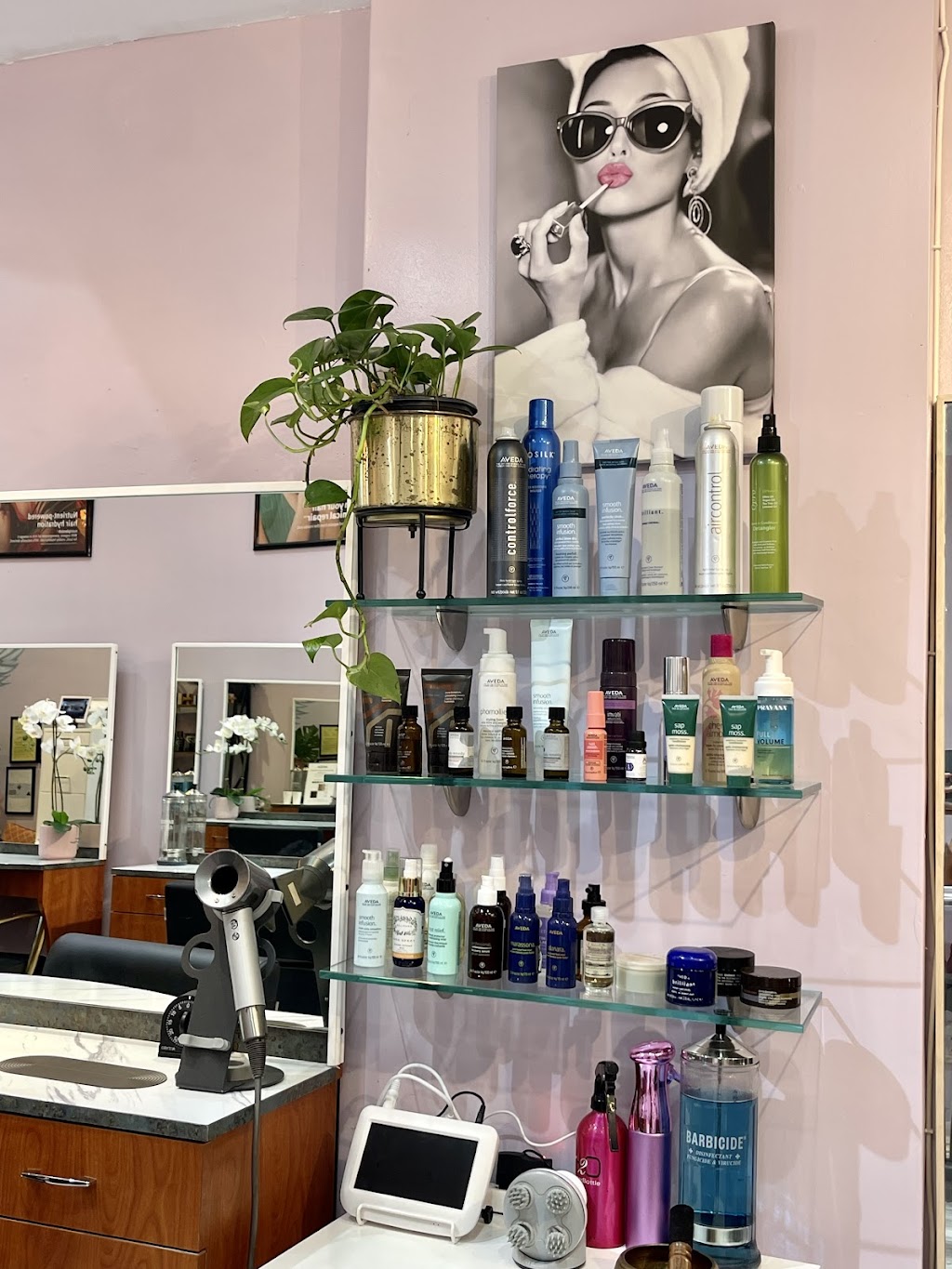 Zolina Hair Salon | 1621 1/2 Montana Ave, Santa Monica, CA 90403, USA | Phone: (424) 372-8440