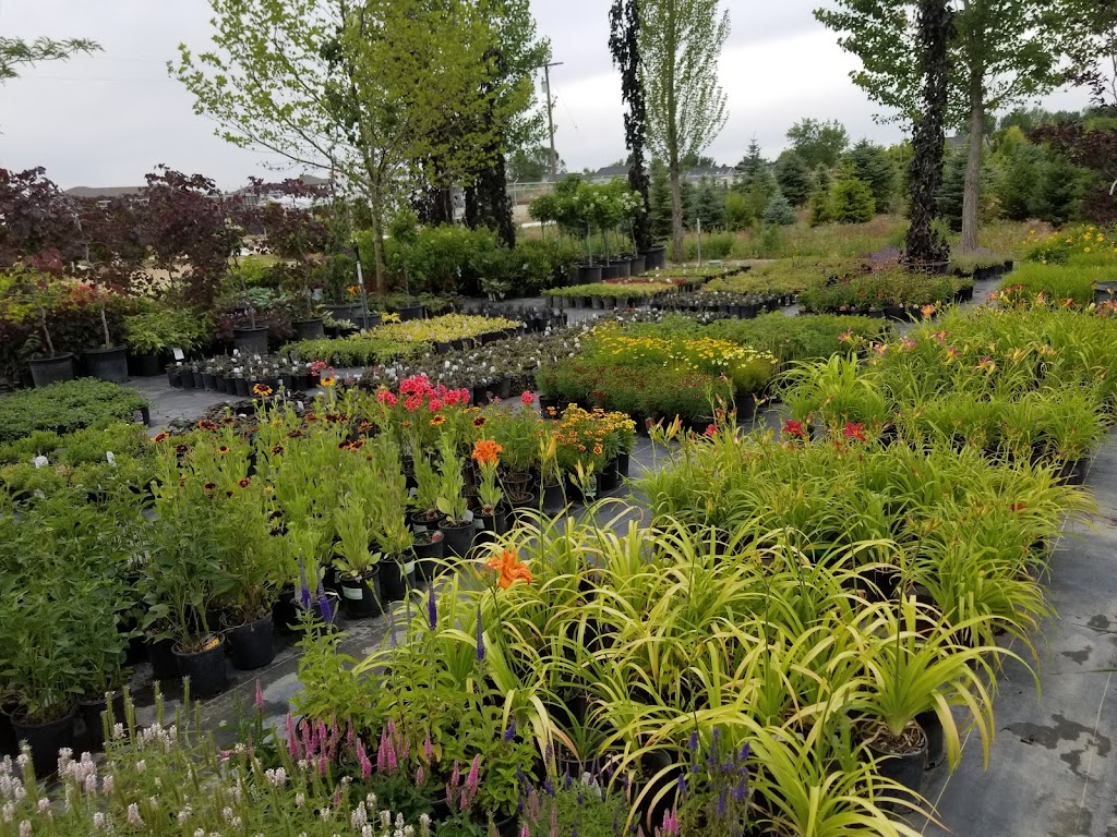 Arbor Farms Nursery | 16761 N Idaho Center Blvd, Nampa, ID 83687, USA | Phone: (208) 941-3000