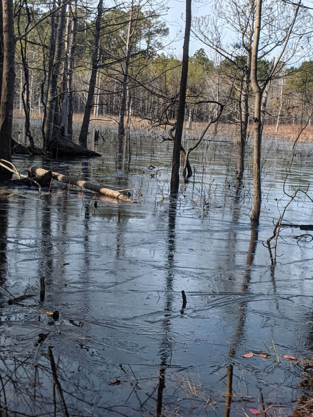 Greensprings Interpretive Trail | 3751 John Tyler Hwy, Williamsburg, VA 23185, USA | Phone: (757) 259-5360