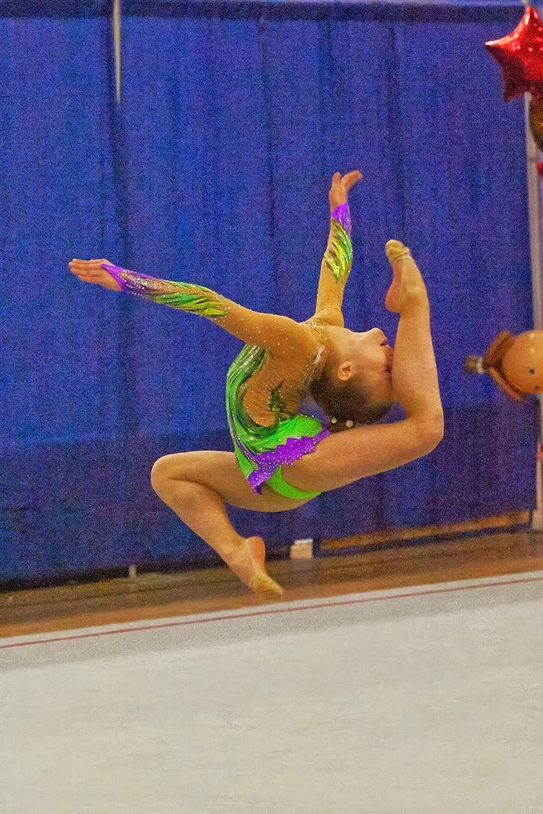 Liberty Academy of Rhythmic Gymnastics | 149 Ridgedale Ave, East Hanover, NJ 07936, USA | Phone: (973) 713-9405