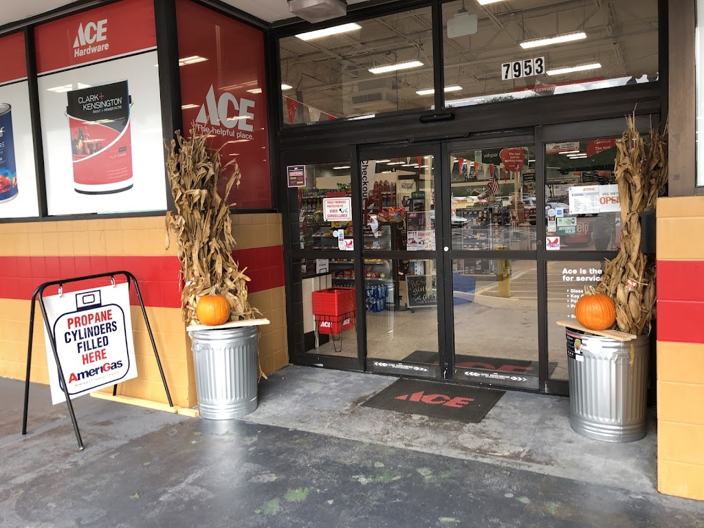 Elistway Ace Hardware | 7953 Normandy Blvd, Jacksonville, FL 32221, USA | Phone: (904) 813-7622