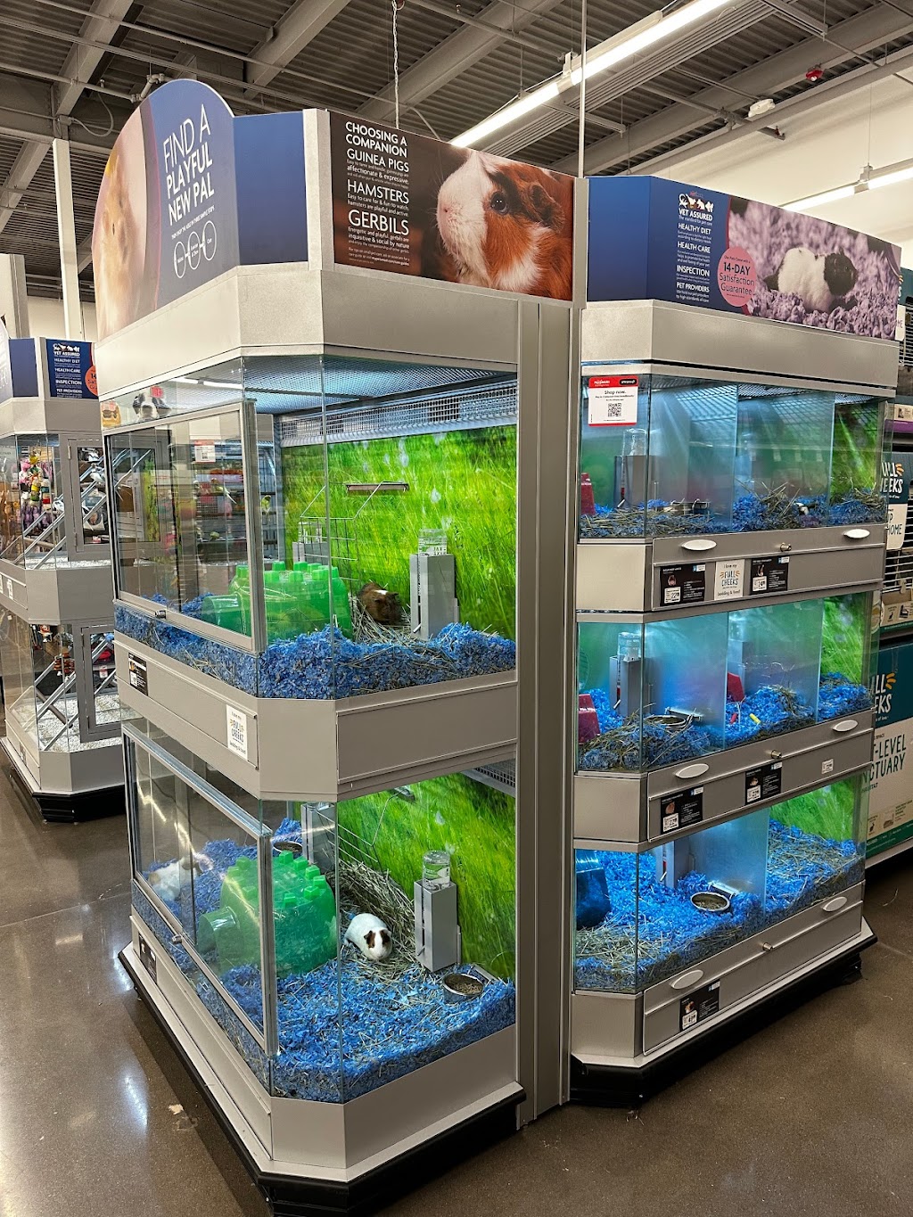 PetSmart | 13410 N Prasada Pkwy, Surprise, AZ 85388, USA | Phone: (623) 336-6060