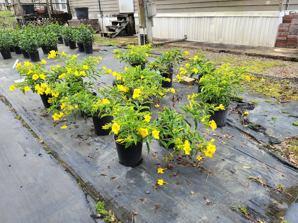 Nursery Landscape & Garden Center | 5955 Florida Ave S, Lakeland, FL 33813, USA | Phone: (863) 644-7331
