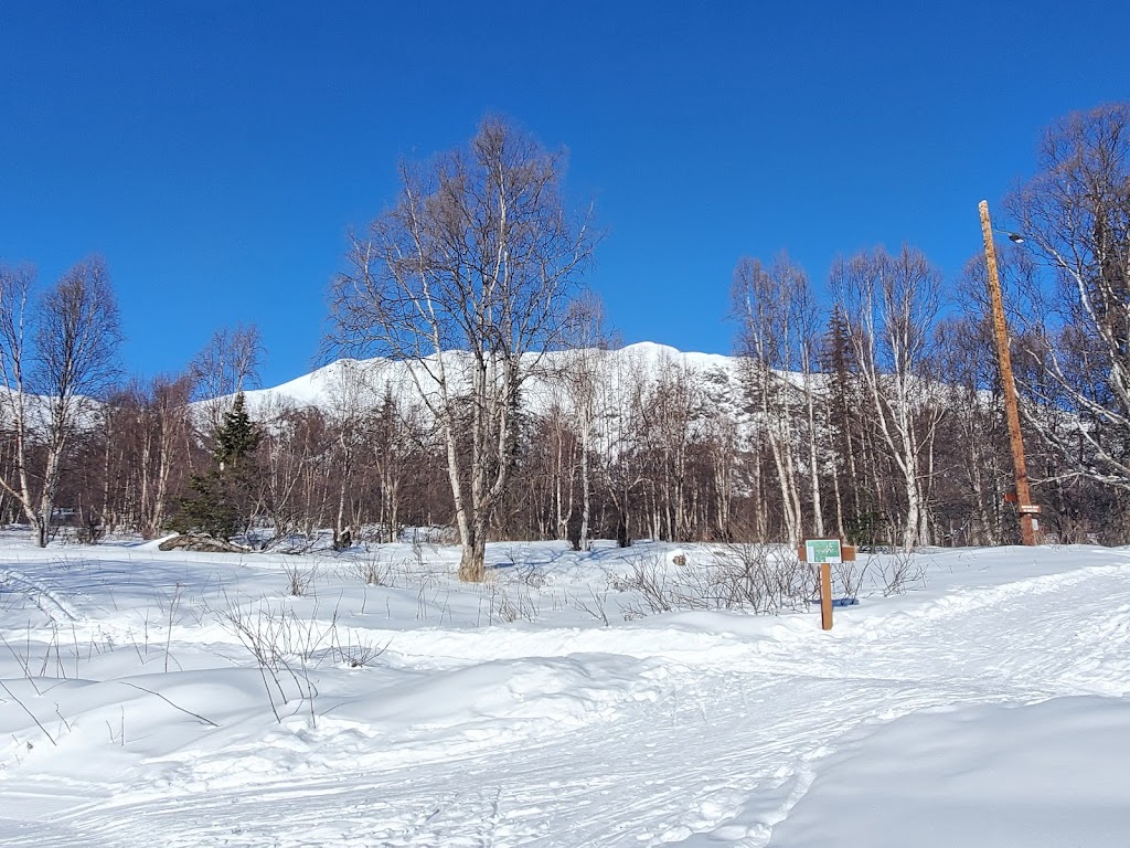 Government Peak Recreation Area | N Mountain Trails Dr, Palmer, AK 99645, USA | Phone: (907) 746-8757