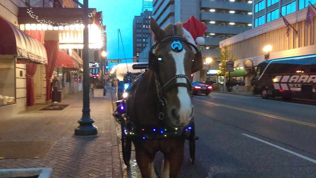 Uptown Carriage Co. - Carriage Rides Memphis | 1051 N 2nd St, Memphis, TN 38107 | Phone: (901) 496-2128