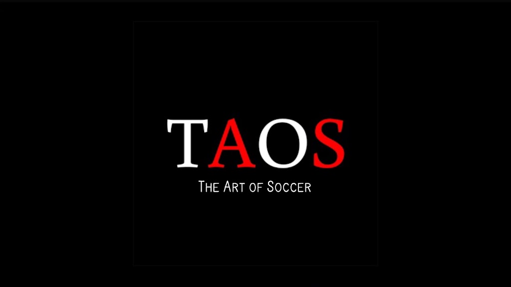 The Art of Soccer | 8725 State Road 70 E, Bradenton, FL 34202, USA | Phone: (941) 753-8189