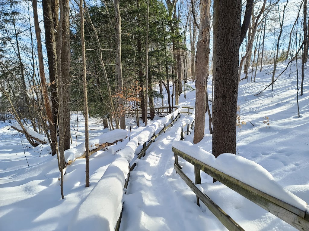 Beaver Meadow Nature Center / Buffalo Audubon Society | 1610 Welch Rd, North Java, NY 14113, USA | Phone: (585) 457-3228