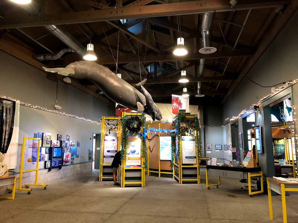 Seymour Marine Discovery Center | 100 McAllister Way, Santa Cruz, CA 95060, USA | Phone: (831) 459-3800