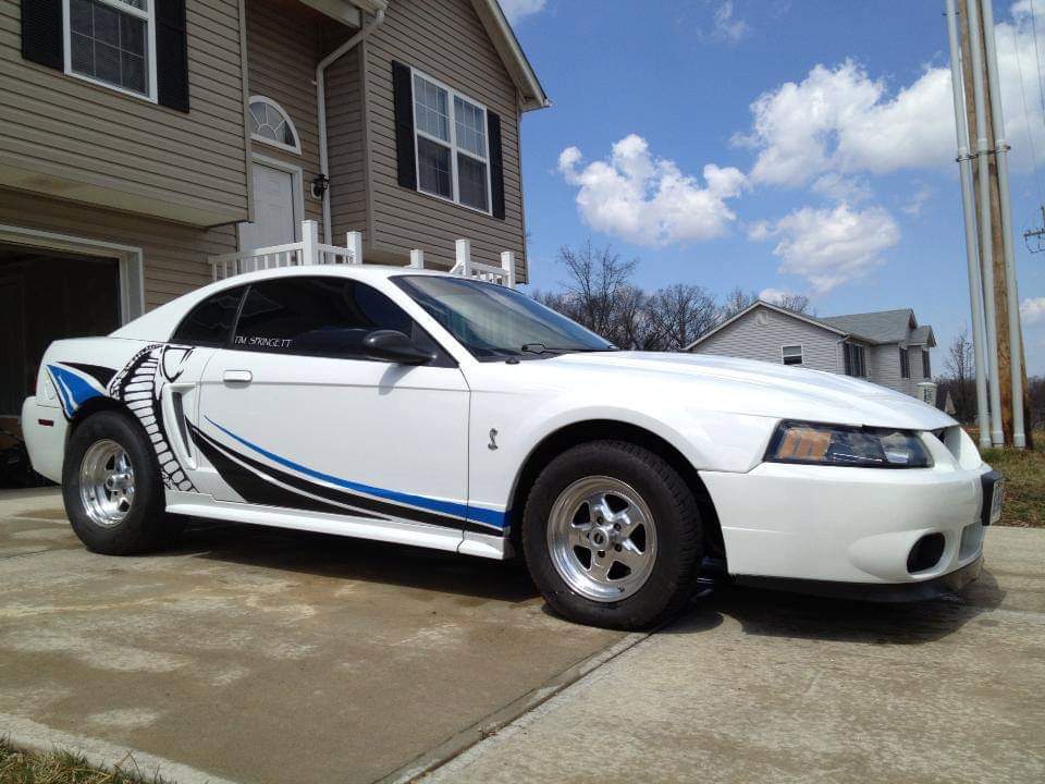 Mustang Muscle Performance and Dyno Tuning | 3484 High Ridge Blvd, High Ridge, MO 63049, USA | Phone: (636) 677-9987