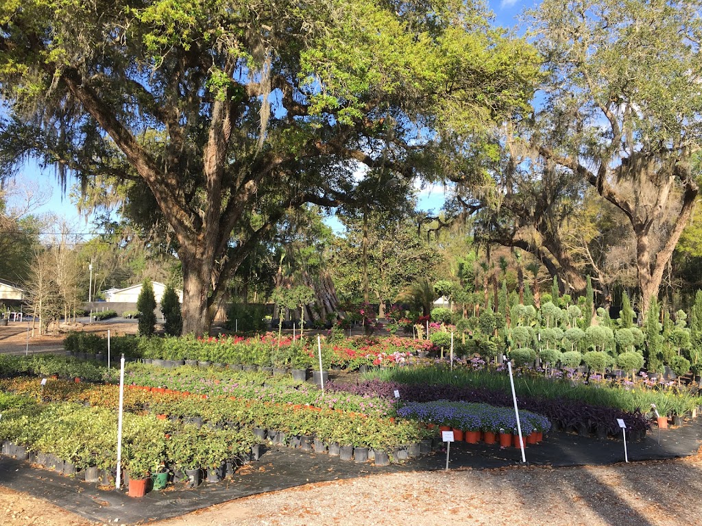 CML Garden Center | 10181 N Broad St, Brooksville, FL 34601, USA | Phone: (352) 777-4528