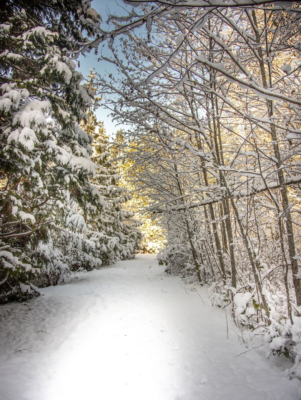 Lake Killarney Open Space Park | 34902 Weyerhaeuser Way S, Federal Way, WA 98003, USA | Phone: (253) 835-6901