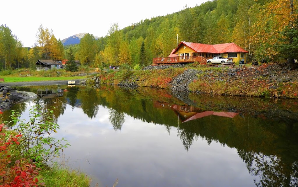 Alaska Forest and Trail | 60995 Resurrection Creek Rd, Hope, AK 99605, USA | Phone: (907) 646-0701